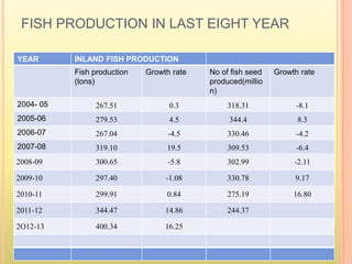 FISH PRODUCTION IN LAST EIGHT YEAR
YEAR INLAND FISH PRODUCTION
Fish production
(tons)
Growth rate No of fish seed
produced(millio
n)
Growth rate
2004- 05 267.51 0.3 318.31 -8.1
2005-06 279.53 4.5 344.4 8.3
2006-07 267.04 -4.5 330.46 -4.2
2007-08 319.10 19.5 309.53 -6.4
2008-09 300.65 -5.8 302.99 -2.11
2009-10 297.40 -1.08 330.78 9.17
2010-11 299.91 0.84 275.19 16.80
2011-12 344.47 14.86 244.37
2O12-13 400.34 16.25
 