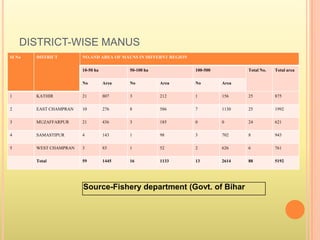DISTRICT-WISE MANUS
SI No DISTRICT NO.AND AREA OF MAUNS IN DIFFERNT REGION
10-50 ha 50-100 ha 100-500 Total No. Total area
No Area No Area No Area
1 KATHIR 21 807 3 212 1 156 25 875
2 EAST CHAMPRAN 10 276 8 586 7 1130 25 1992
3 MUZAFFARPUR 21 436 3 185 0 0 24 621
4 SAMASTIPUR 4 143 1 98 3 702 8 943
5 WEST CHAMPRAN 3 83 1 52 2 626 6 761
Total 59 1445 16 1133 13 2614 88 5192
Source-Fishery department (Govt. of Bihar
 