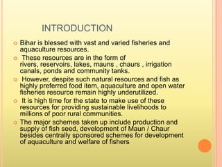 INTRODUCTION
 Bihar is blessed with vast and varied fisheries and
aquaculture resources.
 These resources are in the form of
rivers, reservoirs, lakes, mauns , chaurs , irrigation
canals, ponds and community tanks.
 However, despite such natural resources and fish as
highly preferred food item, aquaculture and open water
fisheries resource remain highly underutilized.
 It is high time for the state to make use of these
resources for providing sustainable livelihoods to
millions of poor rural communities.
 The major schemes taken up include production and
supply of fish seed, development of Maun / Chaur
besides centrally sponsored schemes for development
of aquaculture and welfare of fishers
 