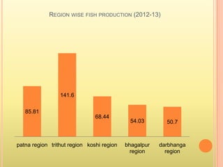 REGION WISE FISH PRODUCTION (2012-13)
85.81
141.6
68.44
54.03 50.7
patna region trithut region koshi region bhagalpur
region
darbhanga
region
 