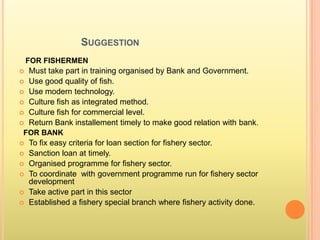SUGGESTION
FOR FISHERMEN
 Must take part in training organised by Bank and Government.
 Use good quality of fish.
 Use modern technology.
 Culture fish as integrated method.
 Culture fish for commercial level.
 Return Bank installement timely to make good relation with bank.
FOR BANK
 To fix easy criteria for loan section for fishery sector.
 Sanction loan at timely.
 Organised programme for fishery sector.
 To coordinate with government programme run for fishery sector
development
 Take active part in this sector
 Established a fishery special branch where fishery activity done.
 