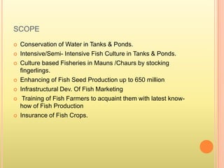 SCOPE
 Conservation of Water in Tanks & Ponds.
 Intensive/Semi- Intensive Fish Culture in Tanks & Ponds.
 Culture based Fisheries in Mauns /Chaurs by stocking
fingerlings.
 Enhancing of Fish Seed Production up to 650 million
 Infrastructural Dev. Of Fish Marketing
 Training of Fish Farmers to acquaint them with latest know-
how of Fish Production
 Insurance of Fish Crops.
 