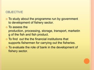 OBJECTIVE
 To study about the programme run by government
to development of fishery sector.
 To assess the
production, processing, storage, transport, marketin
g of the fish and fish product.
 To find out the the financial institutions that
supports fishermen for carrying out the fisheries.
 To evaluate the role of bank in the development of
fishery sector.
 