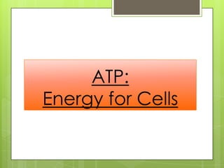ATP:
Energy for Cells
 