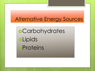Alternative Energy Sources
Carbohydrates
Lipids
Proteins
 