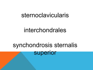 sternoclavicularis
interchondrales
synchondrosis sternalis
superior
 