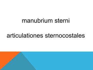 manubrium sterni
articulationes sternocostales
 