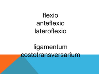 flexio
anteflexio
lateroflexio
ligamentum
costotransversarium
 