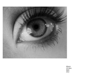 Allyson
EYE BALL
B&W
2012
 
