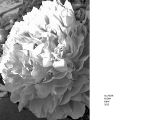 ALLYSON
PEONY
B&W
2012
 