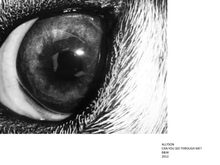 ALLYSON
CAN YOU SEE THROUGH ME?
B&W
2012
 