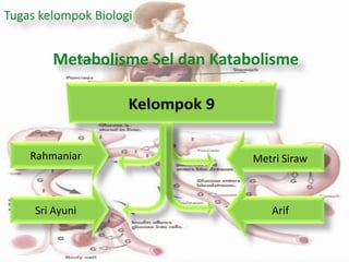 Metabolisme Sel dan Katabolisme
Tugas kelompok Biologi
Metri Siraw
Arif
Rahmaniar
Sri Ayuni
 