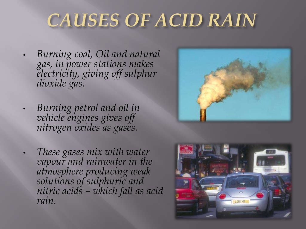 case study on effects of acid rain on taj mahal case study on effects of acid rain on taj mahal