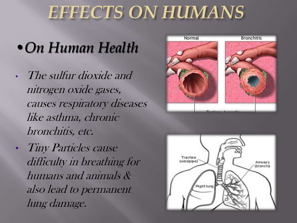 ACID rain & effects on taj mahal