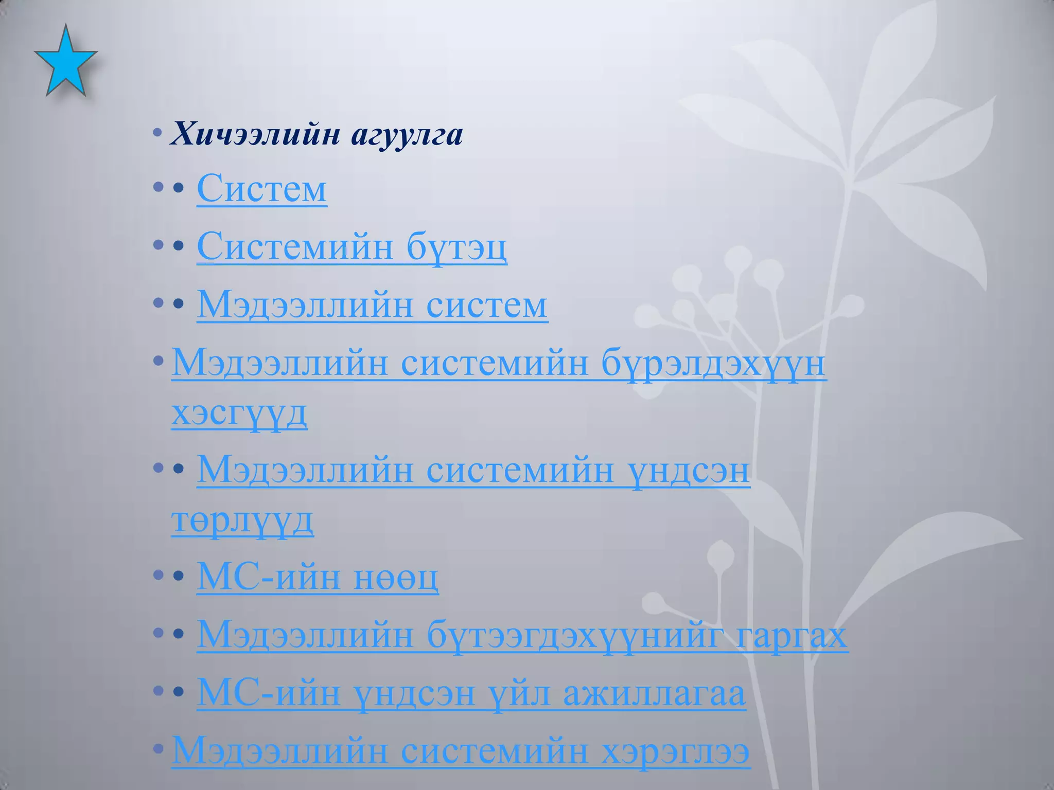 • Хичээлийн агуулга

• • Систем
• • Системийн бүтэц
• • Мэдээллийн систем
• Мэдээллийн системийн бүрэлдэхүүн
хэсгүүд
• • Мэдээллийн системийн үндсэн
төрлүүд
• • МС-ийн нөөц
• • Мэдээллийн бүтээгдэхүүнийг гаргах
• • МС-ийн үндсэн үйл ажиллагаа
• Мэдээллийн системийн хэрэглээ

 