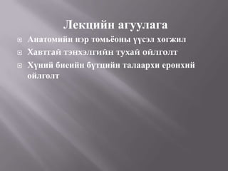 Presentation1