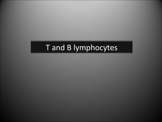 T and B lymphocytes

 
