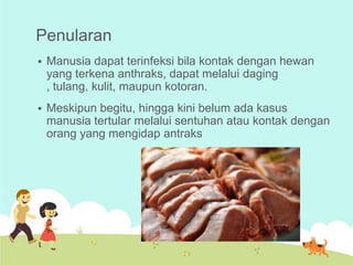 Penularan


Manusia dapat terinfeksi bila kontak dengan hewan
yang terkena anthraks, dapat melalui daging
, tulang, kulit, maupun kotoran.



Meskipun begitu, hingga kini belum ada kasus
manusia tertular melalui sentuhan atau kontak dengan
orang yang mengidap antraks

 