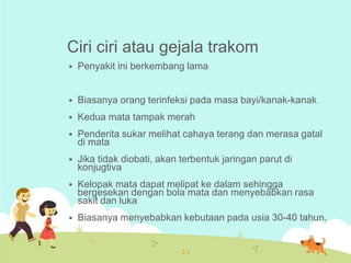 Ciri ciri atau gejala trakom


Penyakit ini berkembang lama



Biasanya orang terinfeksi pada masa bayi/kanak-kanak



Kedua mata tampak merah



Penderita sukar melihat cahaya terang dan merasa gatal
di mata



Jika tidak diobati, akan terbentuk jaringan parut di
konjugtiva



Kelopak mata dapat melipat ke dalam sehingga
bergesekan dengan bola mata dan menyebabkan rasa
sakit dan luka



Biasanya menyebabkan kebutaan pada usia 30-40 tahun.

 