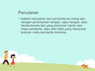 Penularan


bakteri menyebar dari penderita ke orang lain
dengan perantaraan tangan, sapu tangan, atau
benda-benda lain yang tercemar cairan dari
mata penderita, atau oleh lalat yang menyukai
kotoran mata penderita trakoma.

 