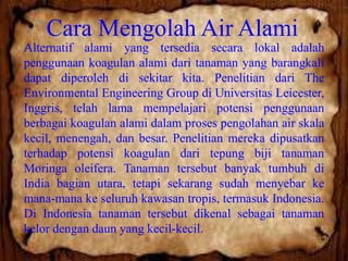 Cara Mengolah Air Alami
Alternatif alami yang tersedia secara lokal adalah
penggunaan koagulan alami dari tanaman yang barangkali
dapat diperoleh di sekitar kita. Penelitian dari The
Environmental Engineering Group di Universitas Leicester,
Inggris, telah lama mempelajari potensi penggunaan
berbagai koagulan alami dalam proses pengolahan air skala
kecil, menengah, dan besar. Penelitian mereka dipusatkan
terhadap potensi koagulan dari tepung biji tanaman
Moringa oleifera. Tanaman tersebut banyak tumbuh di
India bagian utara, tetapi sekarang sudah menyebar ke
mana-mana ke seluruh kawasan tropis, termasuk Indonesia.
Di Indonesia tanaman tersebut dikenal sebagai tanaman
kelor dengan daun yang kecil-kecil.

 