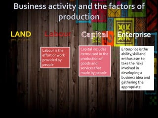 Introduction to business activity | PPTX