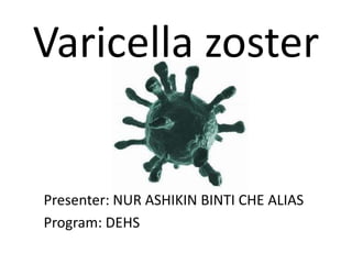 Varicella zoster

Presenter: NUR ASHIKIN BINTI CHE ALIAS
Program: DEHS

 