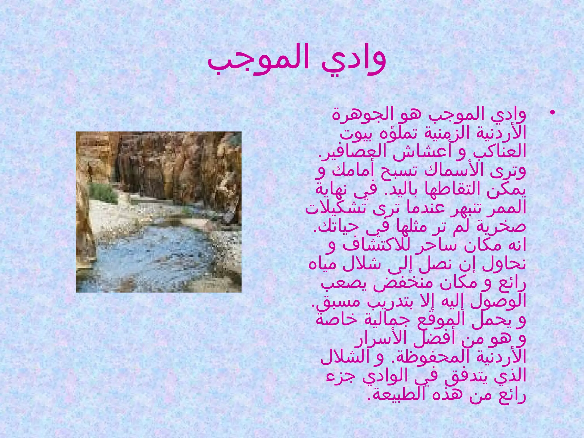 ‫وادي الموجب‬
‫•‬

‫وادي الموجب هو الجوهرة‬
‫الردنية الزمنية تملؤه بيوت‬
‫العناكب و أعشاش العصافير.‬
‫وترى السماك تسبح أمامك و‬
‫يمكن التقاطها باليد. في نهاية‬
‫الممر تنبهر عندما ترى تشكيلت‬
‫صخرية لم تر مثلها في حياتك.‬
‫انه مكان ساحر للكتشاف و‬
‫نحاول إن نصل إلى شلل مياه‬
‫رائع و مكان منخفض يصعب‬
‫الوصول إليه إل بتدريب مسبق.‬
‫و يحمل الموقع جمالية خاصة‬
‫و هو من أفضل السرار‬
‫الردنية المحفوظة. و الشلل‬
‫الذي يتدفق في الوادي جزء‬
‫رائع من هذه الطبيعة.‬

 