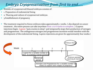 Embryo Cryopreservation from first to end…..
 Transfer of cryopreserved/thawed embryos consists of:
 1. Preparation of endometrial lining
 2. Thawing and culture of cryopreserved embryos
 3.Establishment of pregnancy

 The treatment required to freeze embryos takes approximately 2 weeks. ( also depend on cancer
treatment , the entire process can take anywhere from 2 to 6 weeks to complete. ) (Lupron
injections begin. Lupron "puts ovaries to sleep" and temporarily stops their production of estrogen
and progesterone. The endogenous estrogen and progesterone secretion would interfere with the
development of the endometrial lining. Lupron injections are given for approximately four weeks.)

 