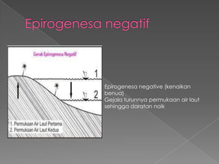 Epirogenesa negative (kenaikan
benua)
Gejala turunnya permukaan air laut
sehingga daratan naik

 