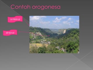 antiklinal

slinkinal

 