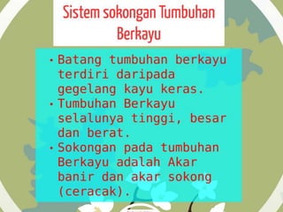 Pergerakan Tumbuhan dan Sistem Sokongan Tumbuhan