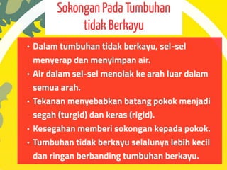 Pergerakan Tumbuhan dan Sistem Sokongan Tumbuhan