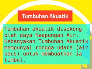 Pergerakan Tumbuhan dan Sistem Sokongan Tumbuhan
