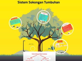 Pergerakan Tumbuhan dan Sistem Sokongan Tumbuhan