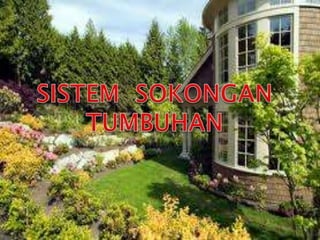 Pergerakan Tumbuhan dan Sistem Sokongan Tumbuhan