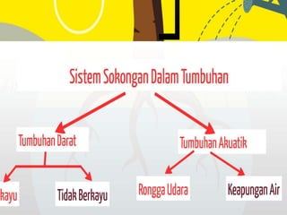 Pergerakan Tumbuhan dan Sistem Sokongan Tumbuhan