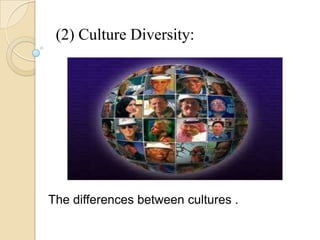 (2) Culture Diversity:
The differences between cultures .