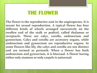 THE FLOWER
The flower is the reproductive unit in the angiosperms. It is
meant for sexual reproduction. A typical flower has four
different kinds of whorls arranged successively on the
swollen end of the stalk or pedicel, called thalamus or
receptacle. These are calyx, corolla, androecium and
gynoecium. Calyx and corolla are accessory organs, while
androecium and gynoecium are reproductive organs. In
some flowers like lily, the calyx and corolla are not distinct
and are termed as perianth. When a flower has both
androecium and gynoecium, it is bisexual. A flower having
either only stamens or only carpels is unisexual.

 