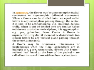 In symmetry, the flower may be actinomorphic (radial
symmetry) or zygomorphic (bilateral symmetry).
When a flower can be divided into two equal radial
halves in any radial plane passing through the centre,
it is said to be actinomorphic, e.g., mustard, datura,
chilly. When it can be divided into two similar halves
only in one particular vertical plane, it is zygomorphic,
e.g., pea, gulmohur, bean, Cassia. A flower is
asymmetric (irregular) if it cannot be divided into two
similar halves by any vertical plane passing through
the centre, as in canna.
A flower may be trimerous, tetramerous or
pentamerous when the floral appendages are in
multiple of 3, 4 or 5, respectively. Flowers with bracts –
reduced leaf found at the base of the pedicel – are
called bracteate and those without bracts, ebracteate

 