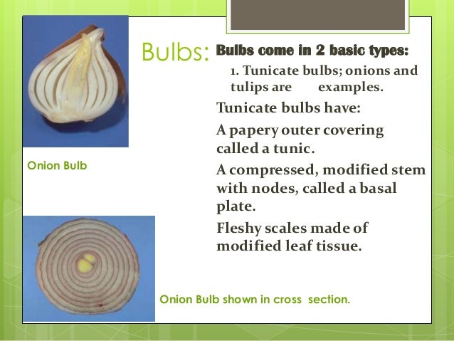 Biology