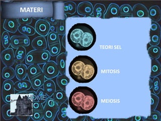 MATERI

TEORI SEL

MITOSIS

MEIOSIS

 