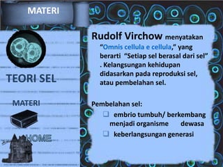 MATERI

Rudolf Virchow menyatakan

TEORI SEL
MATERI

“Omnis cellula e cellula,” yang
berarti “Setiap sel berasal dari sel”
. Kelangsungan kehidupan
didasarkan pada reproduksi sel,
atau pembelahan sel.
Pembelahan sel:
 embrio tumbuh/ berkembang
menjadi organisme
dewasa
 keberlangsungan generasi

 