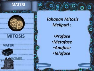 MATERI

Tahapan Mitosis
Meliputi :

MITOSIS
MATERI

•Profase
•Metafase
•Anafase
•Telofase

 