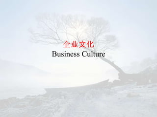 企业文化
Business Culture
 