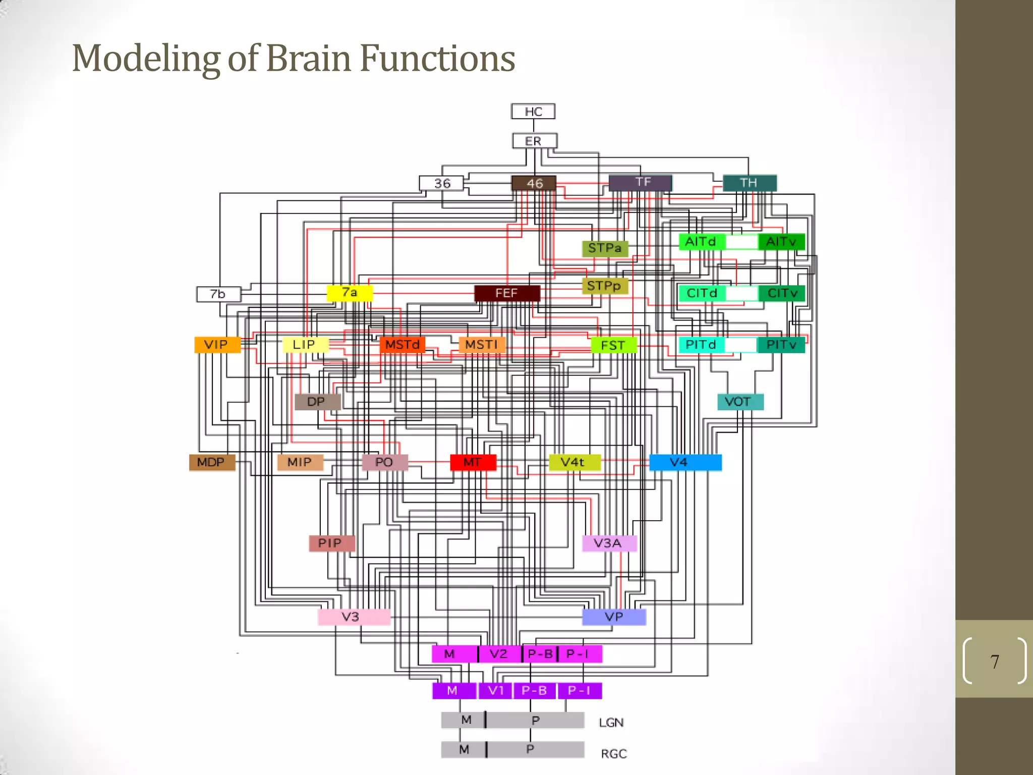 Modeling of Brain Functions

7

 