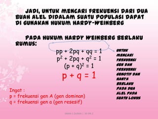Jadi, untuk mencari frekuensi dari dua
buah alel didalam suatu populasi dapat
di gunakan Hukum Hardy-Weinberg
Pada hukum Hardy Weinberg berlaku
rumus:
untuk
pp + 2pq + qq = 1
mencari
2 + 2pq + q2 = 1
p
frekuensi
gen dan
(p + q)2 = 1
frekuensi

p+q=1

Ingat :
p = frekuensi gen A (gen dominan)
q = frekuensi gen a (gen resesif)
SMAN 1 DUMAI | XII IPA 2

genotif dan
hanya
berlaku
pada dua
alel pada
suatu lokus

 