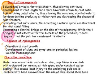 :Goals of apexogenesis
1 Sustaining a viable Hertwig’s sheath, thus allowing continued
development of root length for a more favorable crown-to-root ratio.
2 Maintaining pulpal vitality, thus allowing the remaining odontoblasts to
lay down dentine producing a thicker root and decreasing the chance of
root fracture.
Promoting root end closure, thus creating a natural apical constriction 3
for root canal filling
Generating a dentinal bridge at the site of the pulpotomy. While the 4
bridging is not essential for the success of the procedure, it does
.suggest that the pulp has maintained its vitality
Failures of Apexogenesis
-Cessation of root growth
-Development of signs and symptoms or periapical lesions
-Calcific metamorphosis
Operative procedure
Under local anaesthesia and rubber dam, pulp tissue is excised •
with a diamond bur running at high speed under constant water
cooling. This causes least injury to the underlying pulp and is
.preferred to hand excavation or the use of slow-speed steel burs

 