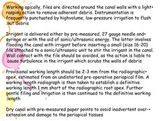 Working apically, files are directed around the canal walls with a light •
rasping action to remove adherent debris. Instrumentation is
frequently punctuated by highvolume, low-pressure irrigation to flush
.out debris
Irrigant is delivered either by pre-measured, 27 gauge needle and •
syringe or with the aid of sonic/ultrasonic energy. The latter involves
flooding the canal with irrigant before inserting a small (size 16-20)
file attached to a sonic/ultrasonic unit to stir the irrigant in the canal.
Wall contact with the file should be avoided, as the action is liable to
.cause turbulence in the irrigant which scrubs the walls of debris
Provisional working length should be 2-3 mm from the radiographic •
apex, estimated from an undistorted pre-operative periapical film. A
working length radiograph is then taken to establish a definitive
working length 1 mm short of the radiographic root apex. Further
gentle filing and irrigation is then continued to the definitive working
.length
Dry canal with pre-measured paper points to avoid inadvertent over- •
extension and damage to the periapical tissues

 