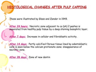 HISTOLOGICAL CHANGES AFTER PULP CAPPING
•

These were illustrated by Glass and Zander in 1949.

•

After 24 hours: Necrotic zone adjacent to ca (oh) 2 pastes is
separated from healthy pulp tissue by a deep staining basophilic layer.

•

After 7 days: Increase in cellular and fibroblastic activity.

•

After 14 days: Partly calcified fibrous tissue lined by odontoblastic
cells is seen below the calcium protienate zone; disappearance of
necrotic zone.

•

After 28 days: Zone of new dentin

 